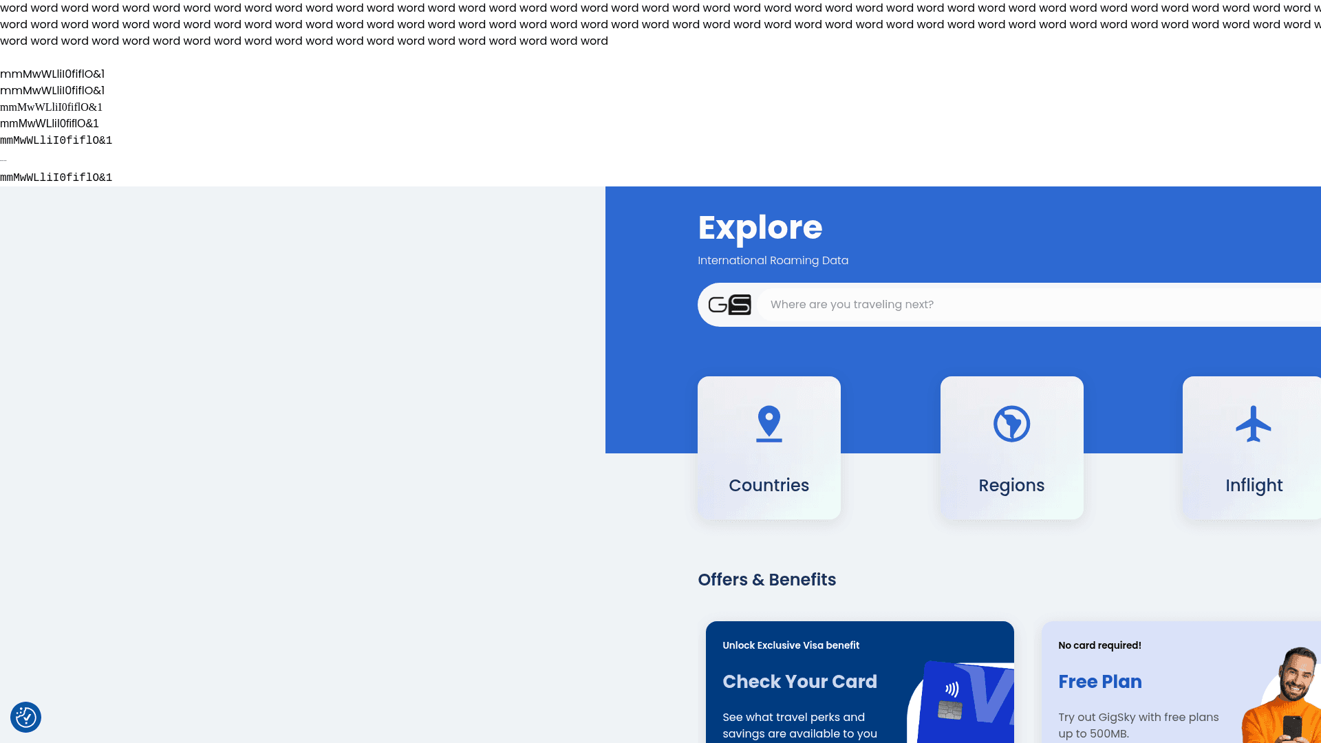 Screenshot of the GigSky homepage
